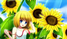 你温暖了我的心