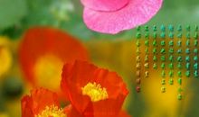 谢谢你给了我深沉的爱