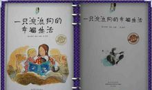 金牌流浪狗观后感