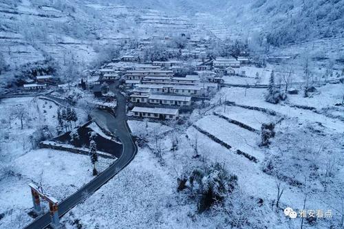 我心中的第一场雪