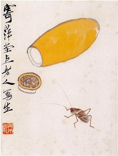 草和昆虫的家