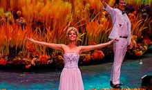 观看马戏团表演