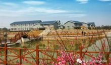 与秋天的一场邂逅