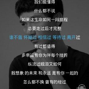 我绝不会放弃
