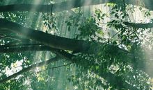 我心中的一缕阳光