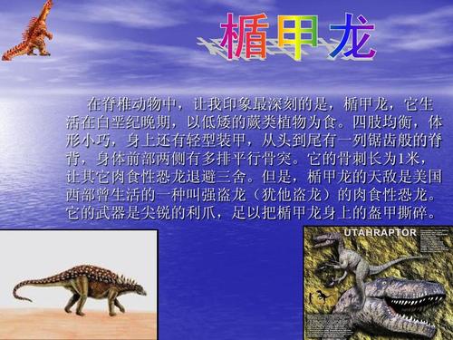 令人难忘的百科全书