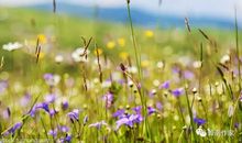 那个阳光明媚的日子