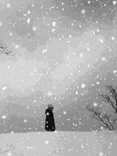 我期待着下雪
