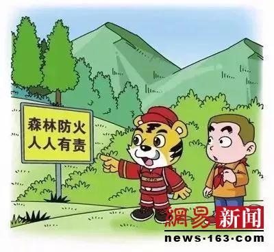 人人负责森林保护和防火