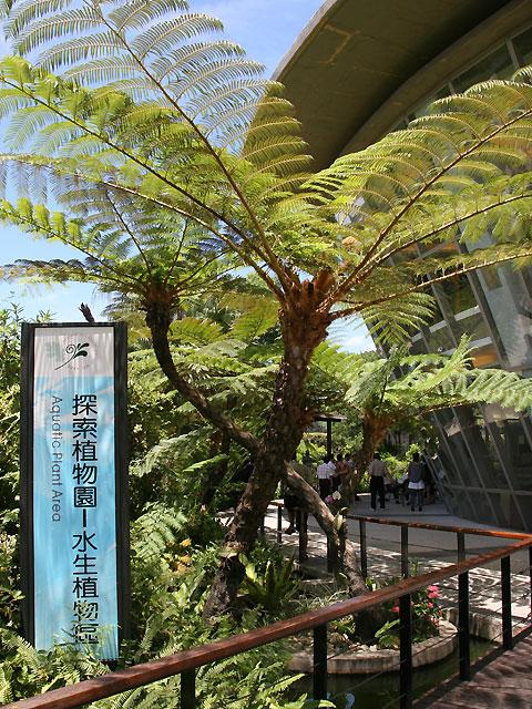 探索植物园
