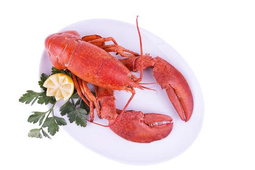 美味大龙虾