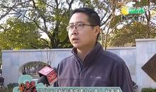 爸爸是个巧手匠