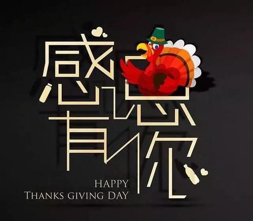 感谢您的友谊