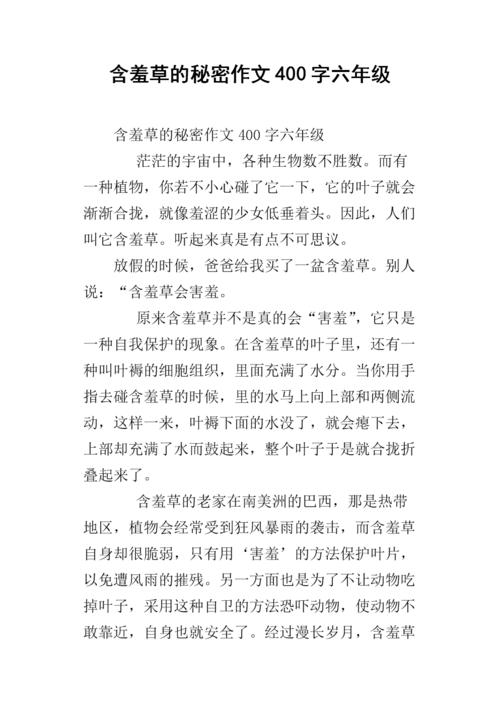 我发现了蜘蛛的秘密成分