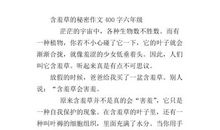 我发现了蜘蛛的秘密作文