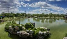 描写植物园景色