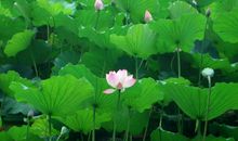 回忆那个春天的夜晚