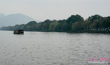 最爱湖东行不足