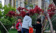 充实的五一假期