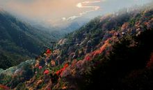 面向自然与文化的融合——泰山