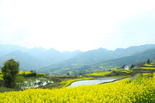 农村