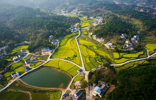 美丽的埋山