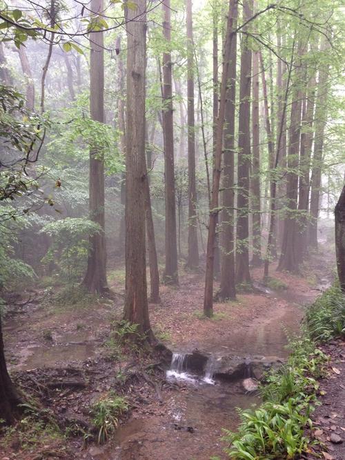 四月的小雨