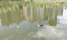 泉州一道靓丽的风景线