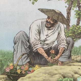 祖父的院子
