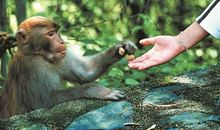 和谐相处是最美