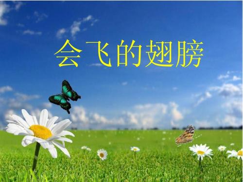 鼓励是我飞翔的翅膀