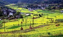 迷人的乡村风光