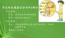 青春期讲座心得体会