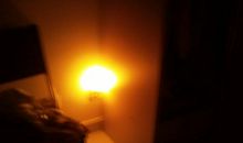 第一次独自待家