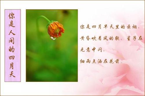 爱无处不在
