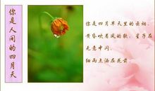 人间无处不是爱