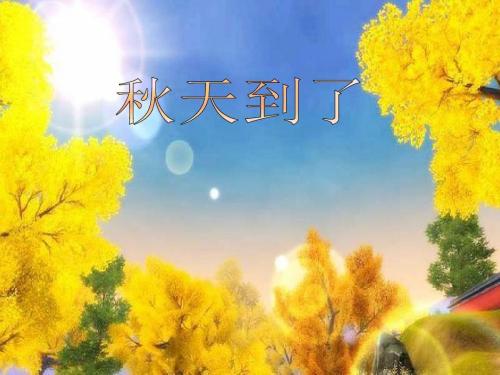 我发现秋天来了