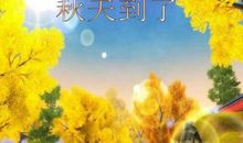 我发现了秋天来了