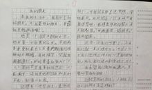 我的好朋友二年级作文