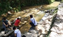 悠悠中国梦，绵绵家乡情