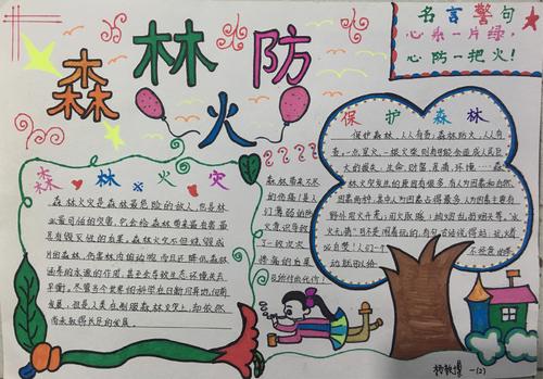 森林保护和防火取决于每个人