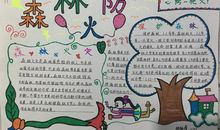 护林防火靠大家