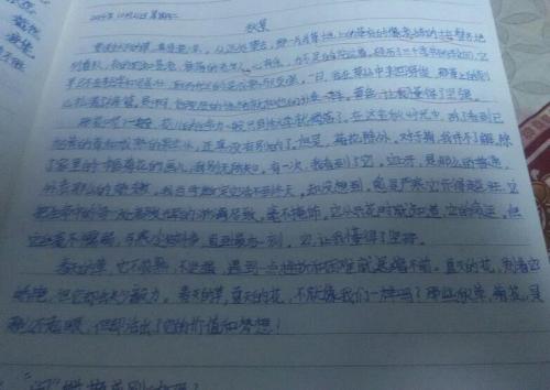 以姐姐为主题的作文