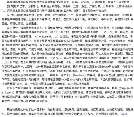 小狗描述