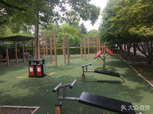 游览桂花公园