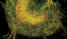 破茧平凡，化为卓越——我的人生之路