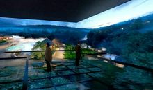 奇妙的大森林之旅