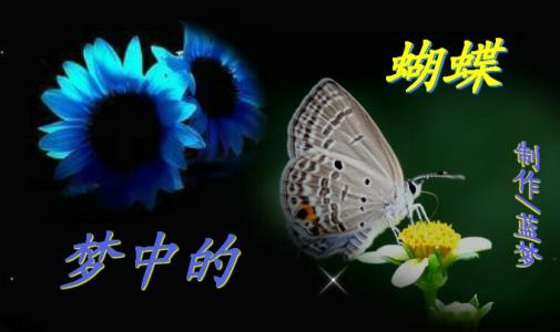 蝴蝶飞进玻璃瓶中，九千字
