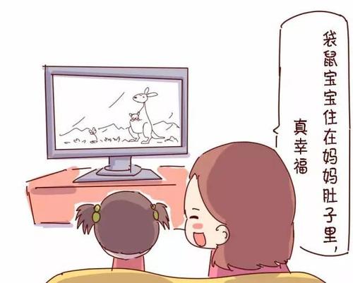 我喜欢看电视的人