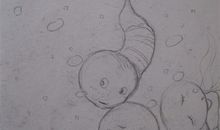 小蝌蚪观察日记